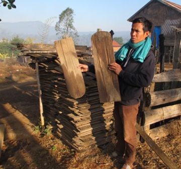 Wood commonly used for shingles, Nakai Plateau Lao PDR