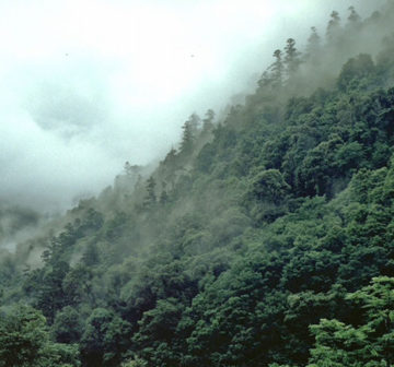 <p>Yunann, China</p>
