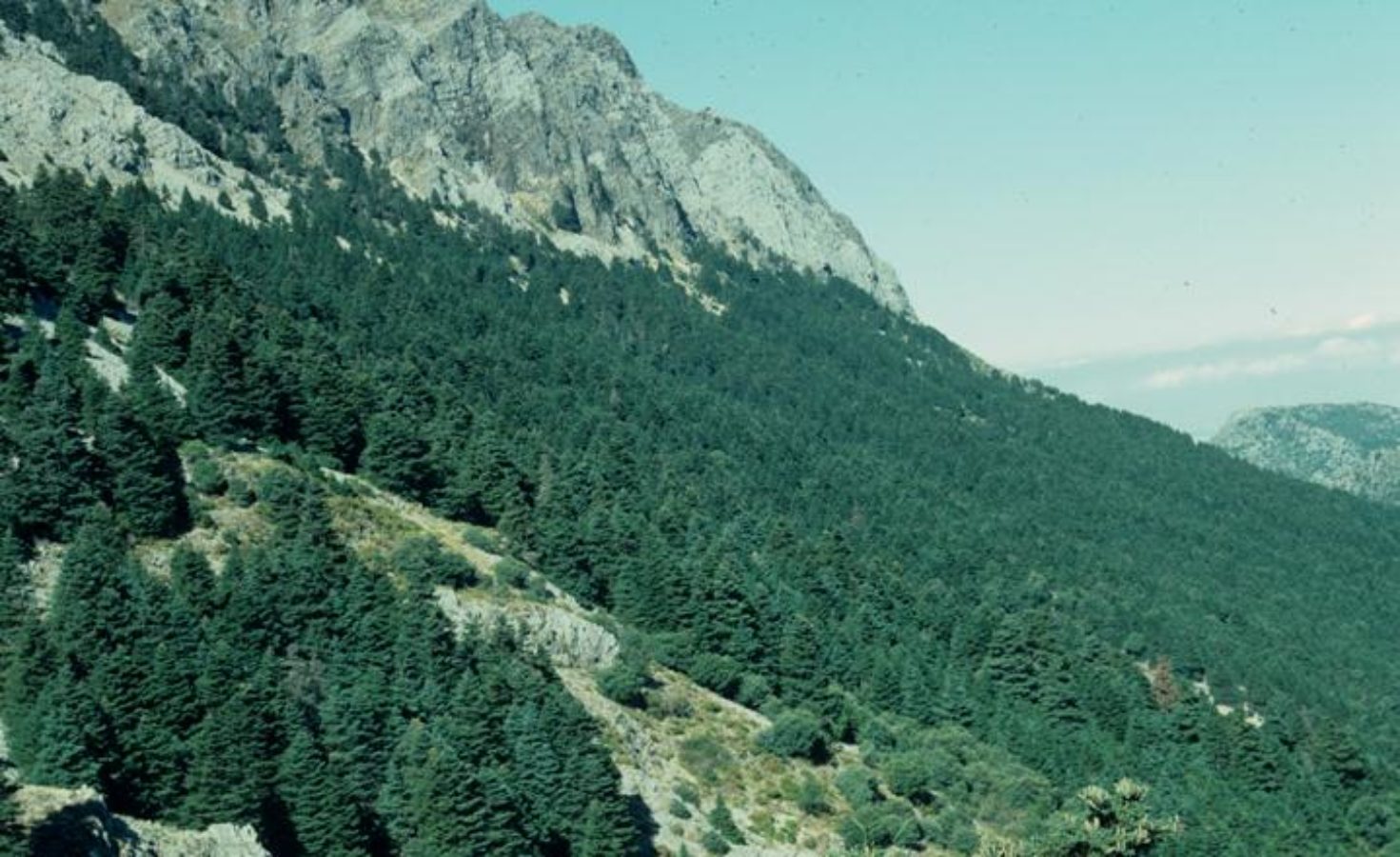 Sierra del Pinar, Spain