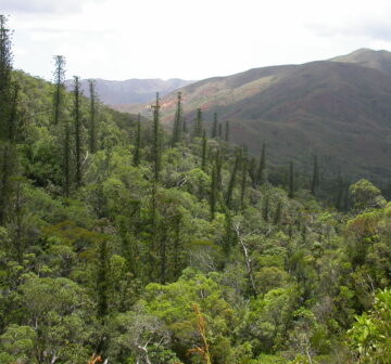 <p>Boulinda Massif, New Caledonia<br /></p>