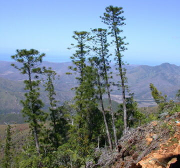 <p>Mt Do: Province Sud, New Caledonia<br /></p>