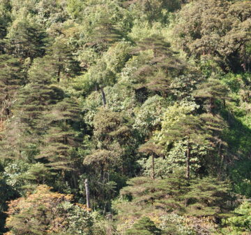 <p>Mt. Fansipan</p>