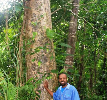 <p>Aneityum Island, Vanuatu</p>