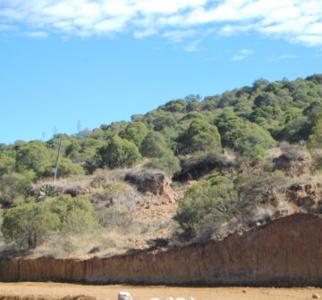 <p>Mexico: Puebla: Amozoc</p>