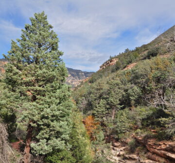 <p>Arizona: Sedona</p>