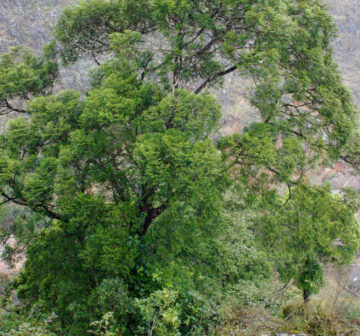 <p>Vietnam: Ha Giang</p>