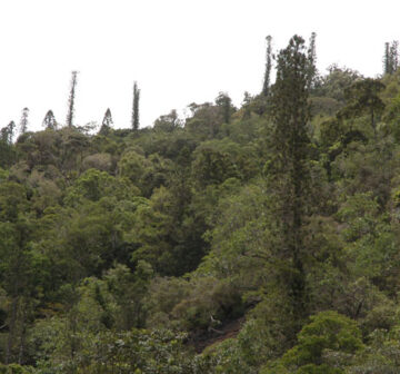 Habitat