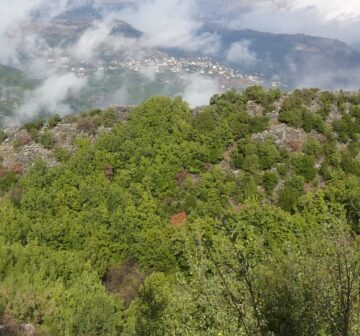 Near Qahmez, Lebanon.